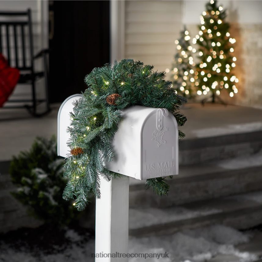 Greenery | National Tree Company Pre-Lit Artificial Mailbox Swag Decoration Green Arctic Spruce LED Lights Decorated with Pine Cones Christmas Collection 3 Feet F2L4F446